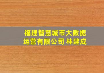 福建智慧城市大数据运营有限公司 林建成